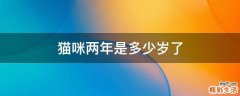猫咪两年是多少岁了