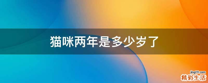 猫咪两年是多少岁了
