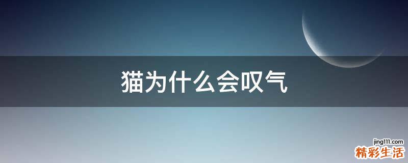 猫为什么会叹气