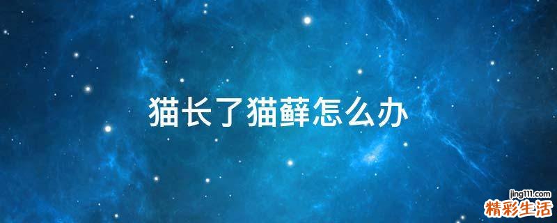 猫长了猫藓怎么办