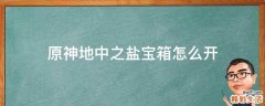 原神地中之盐宝箱怎么开