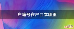 户籍号在户口本哪里