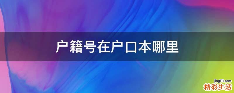 户籍号在户口本哪里