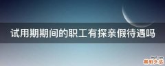 试用期期间的职工有探亲假待遇吗