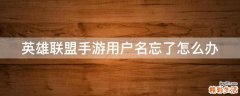 英雄联盟手游用户名忘了怎么办