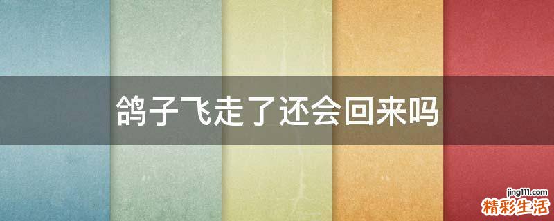 鸽子飞走了还会回来吗