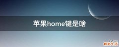 苹果home键是啥