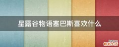 星露谷物语塞巴斯喜欢什么