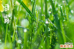 白露是什么季节 白露一夜凉一夜是什么意思