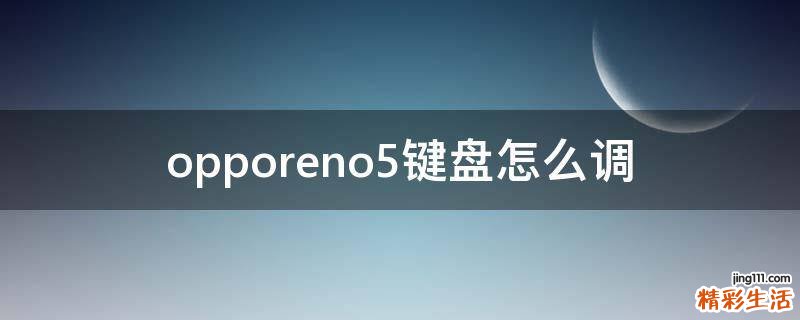opporeno5键盘怎么调