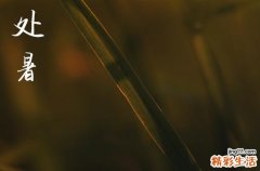 处暑发朋友圈的精美句子短语 处暑发朋友圈适合销售配文