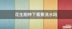 花生刚种下需要浇水吗