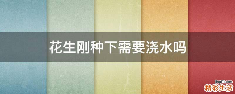 花生刚种下需要浇水吗