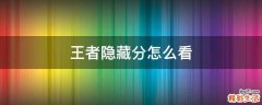 王者隐藏分怎么看