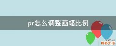 pr怎么调整画幅比例