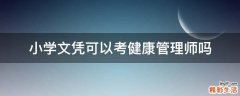 小学文凭可以考健康管理师吗