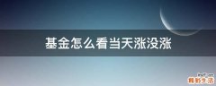 基金怎么看当天涨没涨