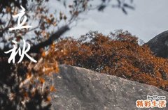 今年立秋后是凉快还是热