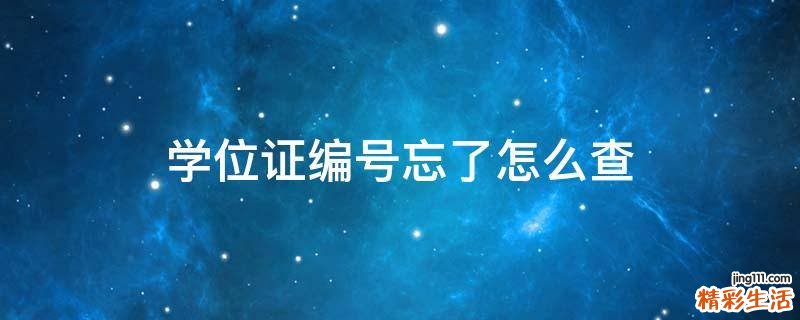 学位证编号忘了怎么查