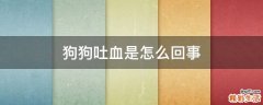 狗狗吐血是怎么回事