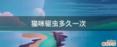 猫咪驱虫多久一次