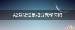A2驾驶证是扣分就学习吗