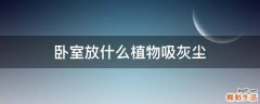 卧室放什么植物吸灰尘