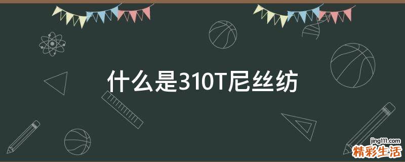 什么是310T尼丝纺