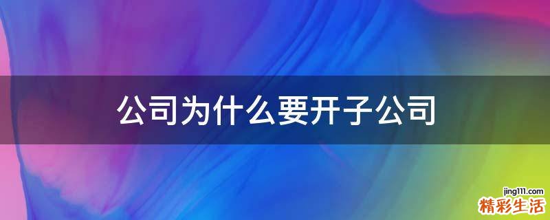公司为什么要开子公司