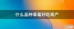什么品种草莓好吃高产