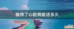 猫得了心脏病能活多久