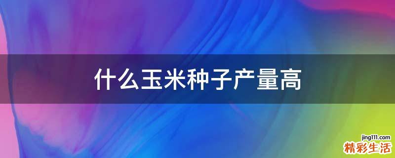 什么玉米种子产量高