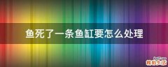 鱼死了一条鱼缸要怎么处理