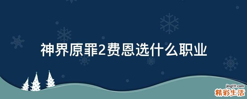 神界原罪2费恩选什么职业