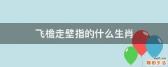 飞檐走壁指的什么生肖
