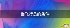 当飞行员的条件