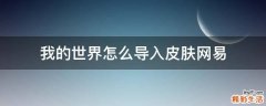 我的世界怎么导入皮肤网易