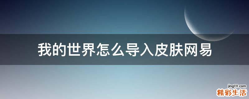 我的世界怎么导入皮肤网易