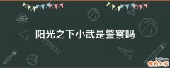 阳光之下小武是警察吗