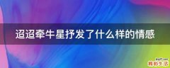 迢迢牵牛星抒发了什么样的情感