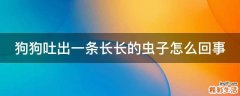 狗狗吐出一条长长的虫子怎么回事