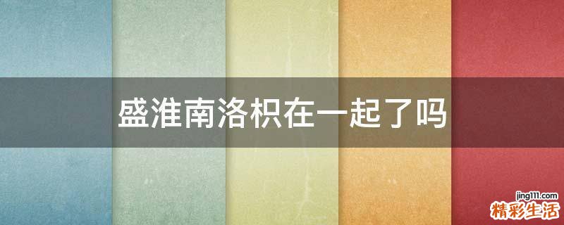 盛淮南洛枳在一起了吗
