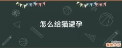 怎么给猫避孕