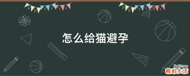 怎么给猫避孕