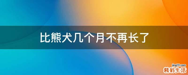 比熊犬几个月不再长了