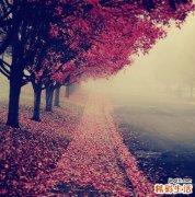 【冬季皮肤如何变白】变白九个秘方