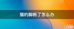 猫的脚断了怎么办