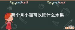 两个月小猫可以吃什么水果