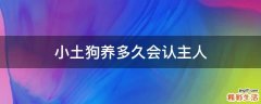 小土狗养多久会认主人