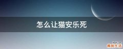 怎么让猫安乐死